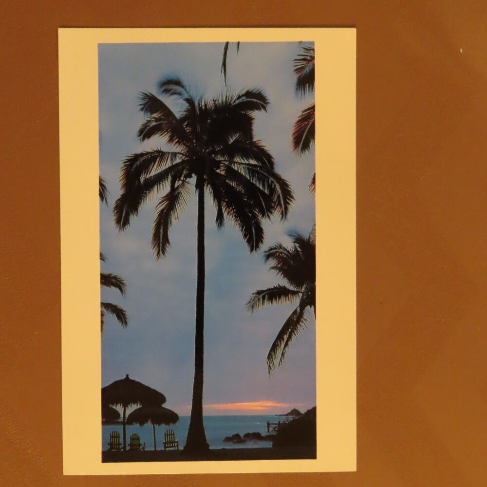 Mexico Palm Trees Beach Tropical Vacation VTG Vintage Postcard
